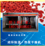  枸杞专用烘干机-WRH-500A厂家报价